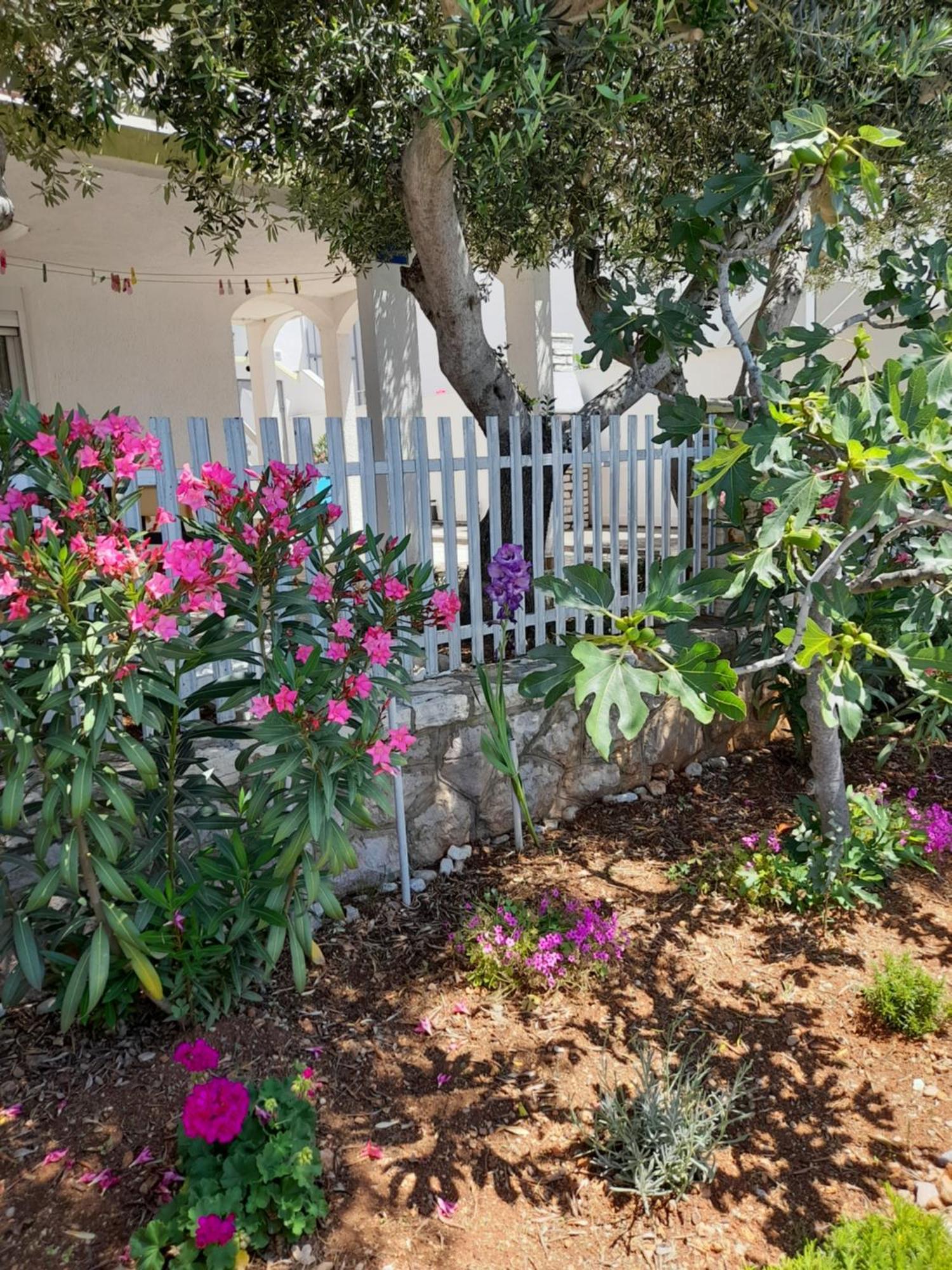 Apartment Milka By The Sea Karlobag Εξωτερικό φωτογραφία